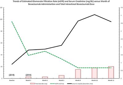 Thrombotic Microangiopathy and Acute Kidney Injury Induced After Intravitreal Injection of Vascular Endothelial Growth Factor Inhibitors VEGF Blockade-Related TMA After Intravitreal Use